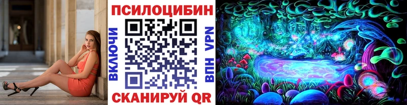 Псилоцибиновые грибы Psilocybe  blacksprut маркетплейс  Онега  сколько стоит 
